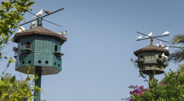 BİENO VENUS HOTEL&SPA